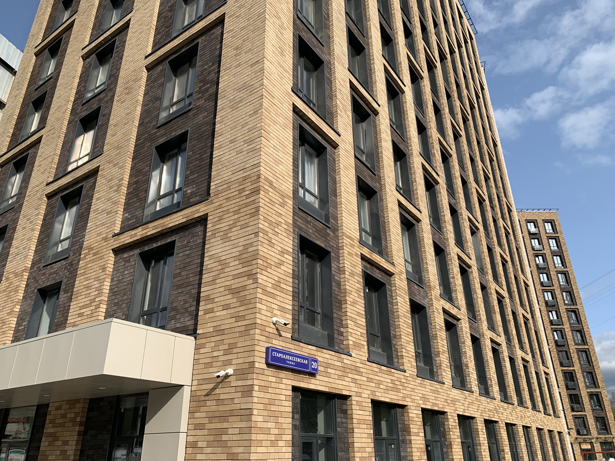 Борн-1 Плитка под кирпич для навесного вент фасада без расшивки шва  250X65X24 мм искусственный камень