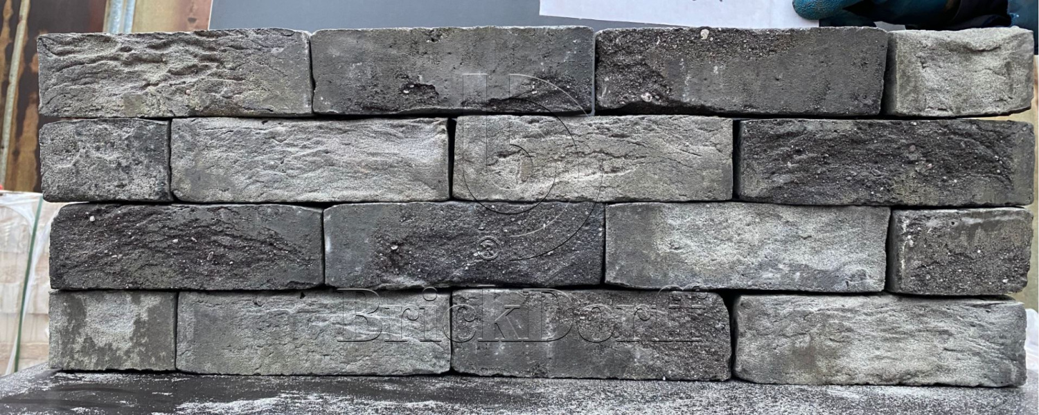 EDEN (SALINA) WF 208х99х50 мм, Кирпич ручной формовки Engels baksteen