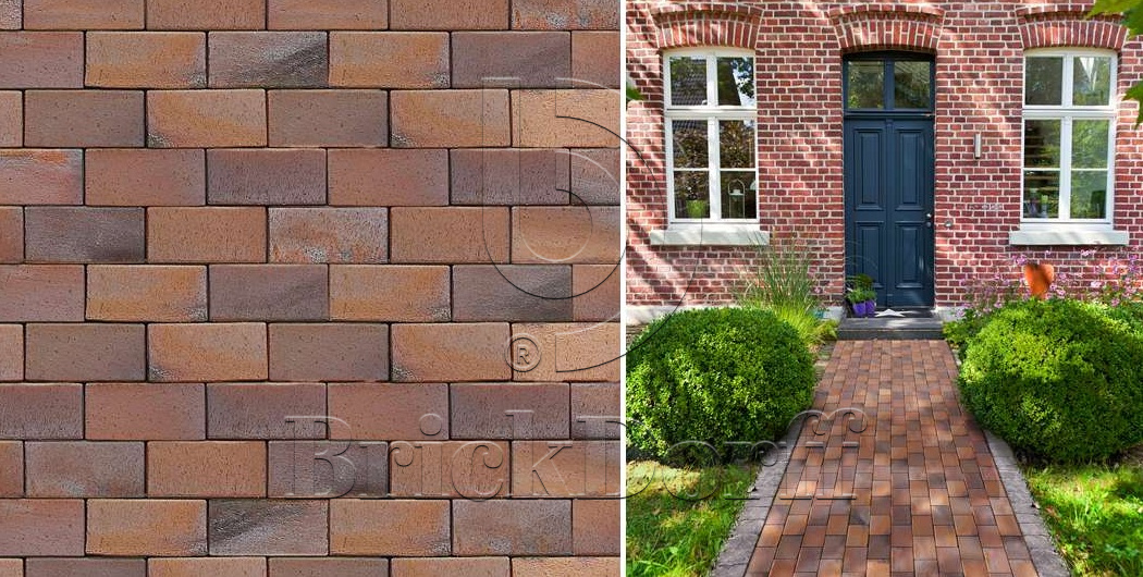 Тротуарная плитка / брусчатка Клинкерная ABC Carbo (Карбо) (rot-bunt-Kohlebrand), 240*118*52 мм