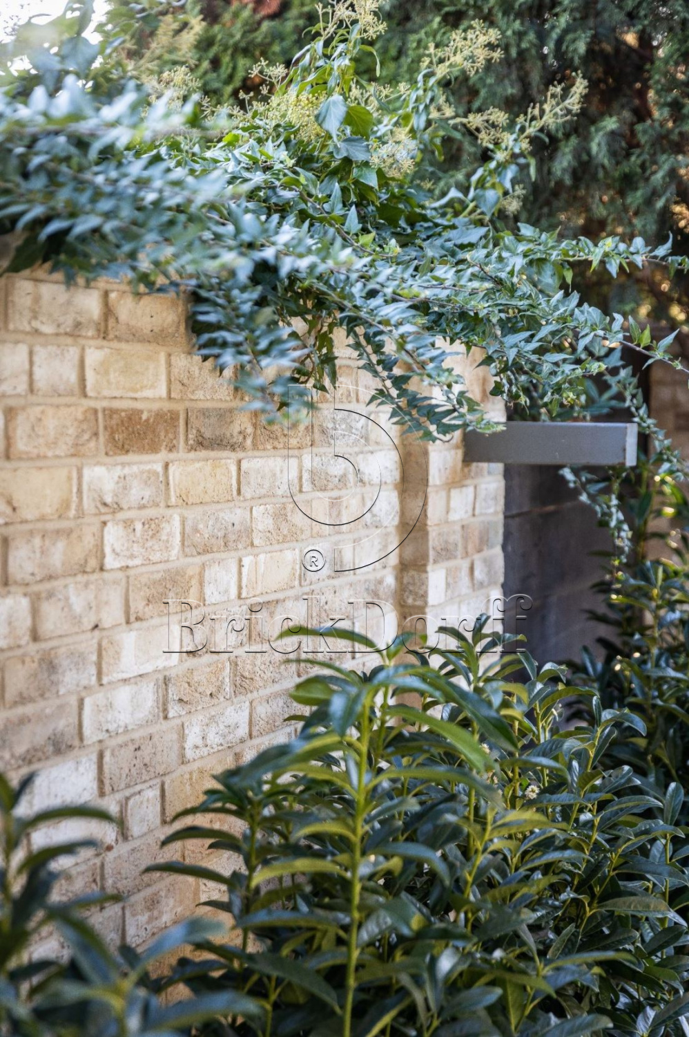 Mystique DF 214x103x66 мм, Кирпич ручной формовки Engels baksteen