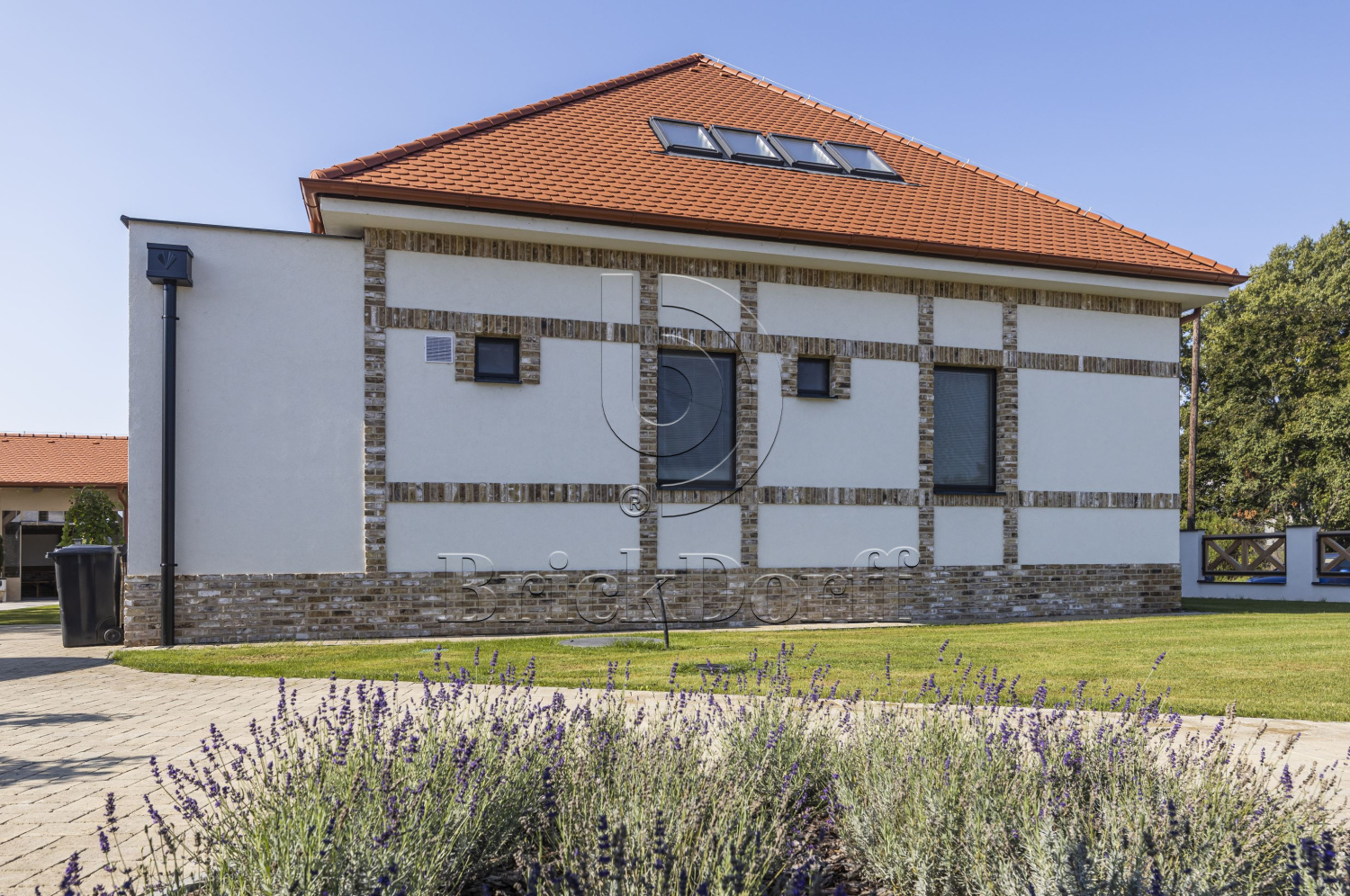 Barnsteen DF 214х103х66 мм, Кирпич ручной формовки Engels baksteen