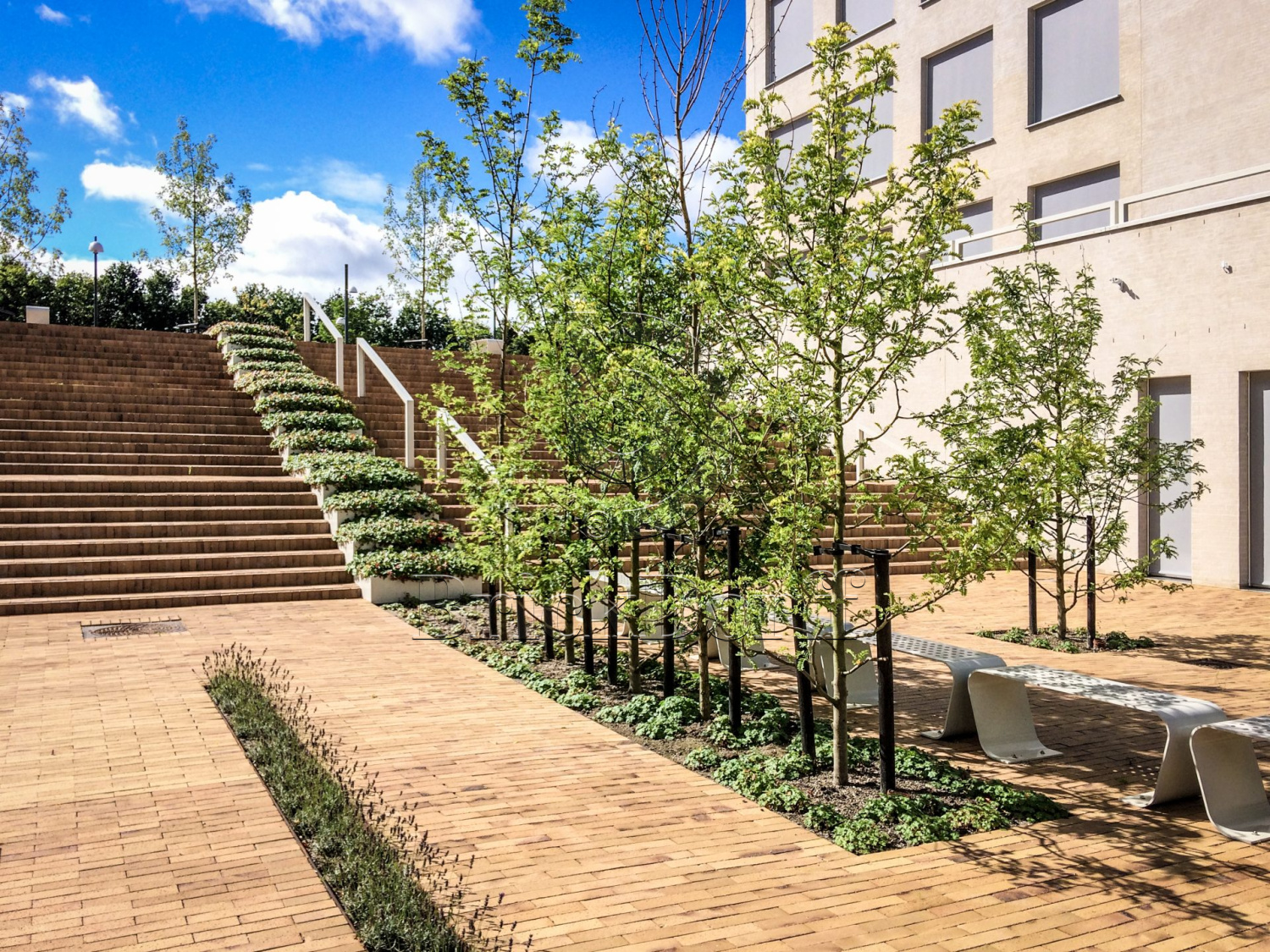 Тротуарная плитка / брусчатка Клинкерная ABC Antik gelb kohlebrand (Антик гелб кохлебранд), 200*100*52 мм