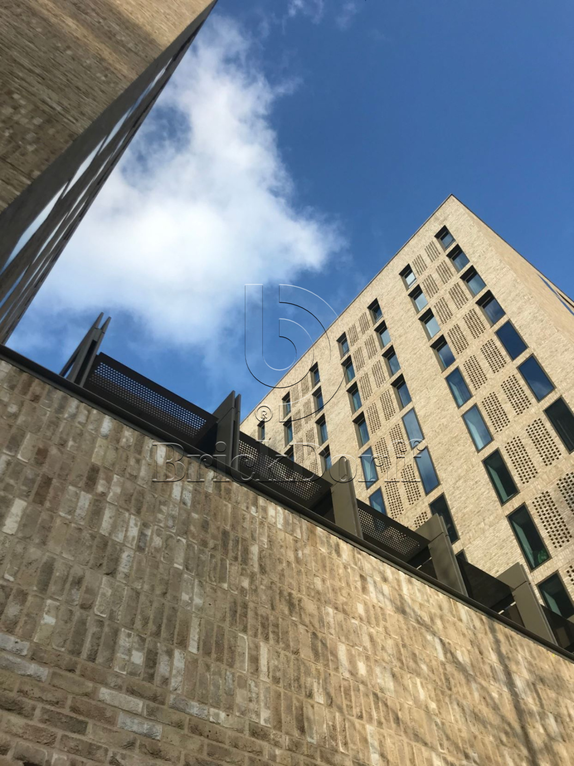 Mystique DF 214x103x66 мм, Кирпич ручной формовки Engels baksteen