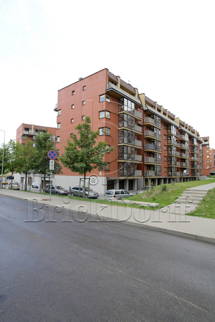 Кирпич клинкерный облицовочный красный, Lode Janka гладкий, 250*85*65 мм