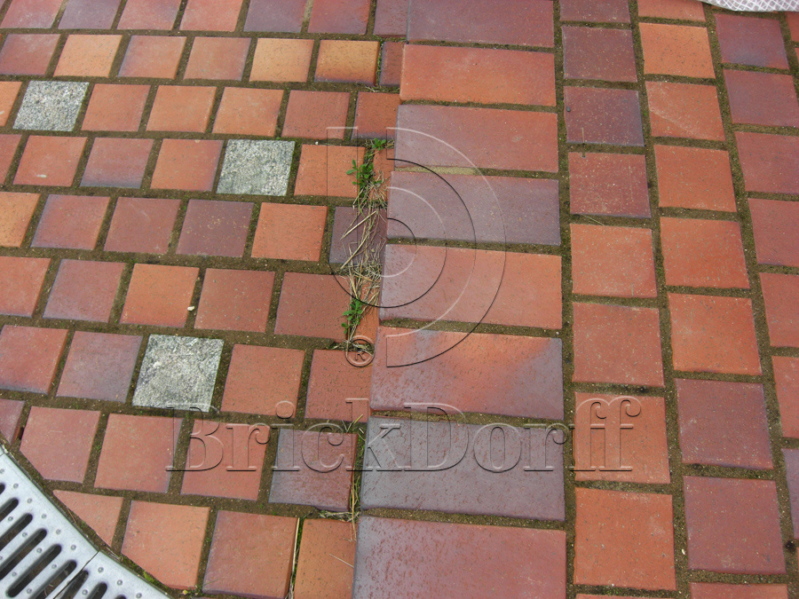 Тротуарная плитка / брусчатка Клинкерная ABC Herbstlaub-geflammt (Хербстлауб-гефламмт), делится на 8 частей 240*118/60*60*52 мм