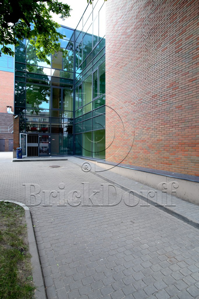 Кирпич клинкерный облицовочный светло - коричневый, Lode RUDIS гладкий, 250*120*65 мм