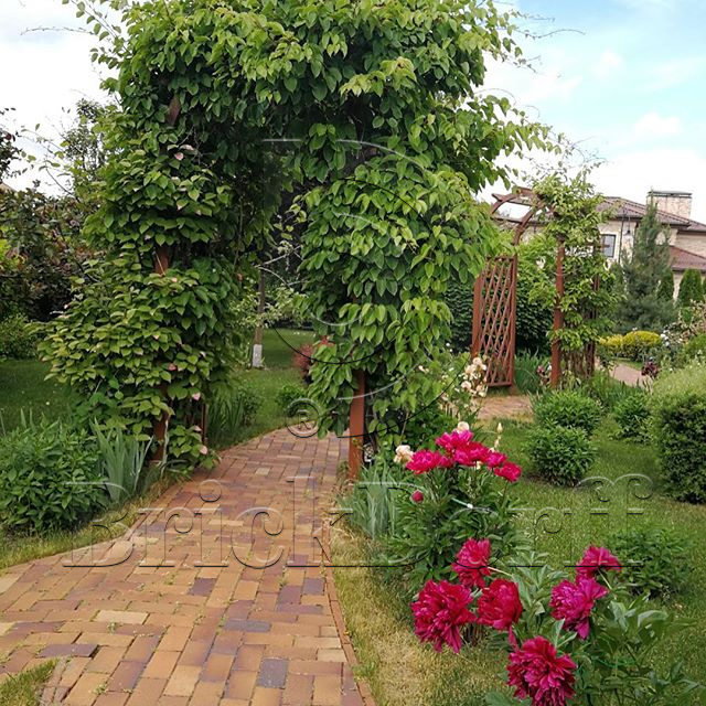 Тротуарная плитка / брусчатка Клинкерная ABC Herbstlaub-geflammt (Хербстлауб-гефламмт), 200*100*40 мм