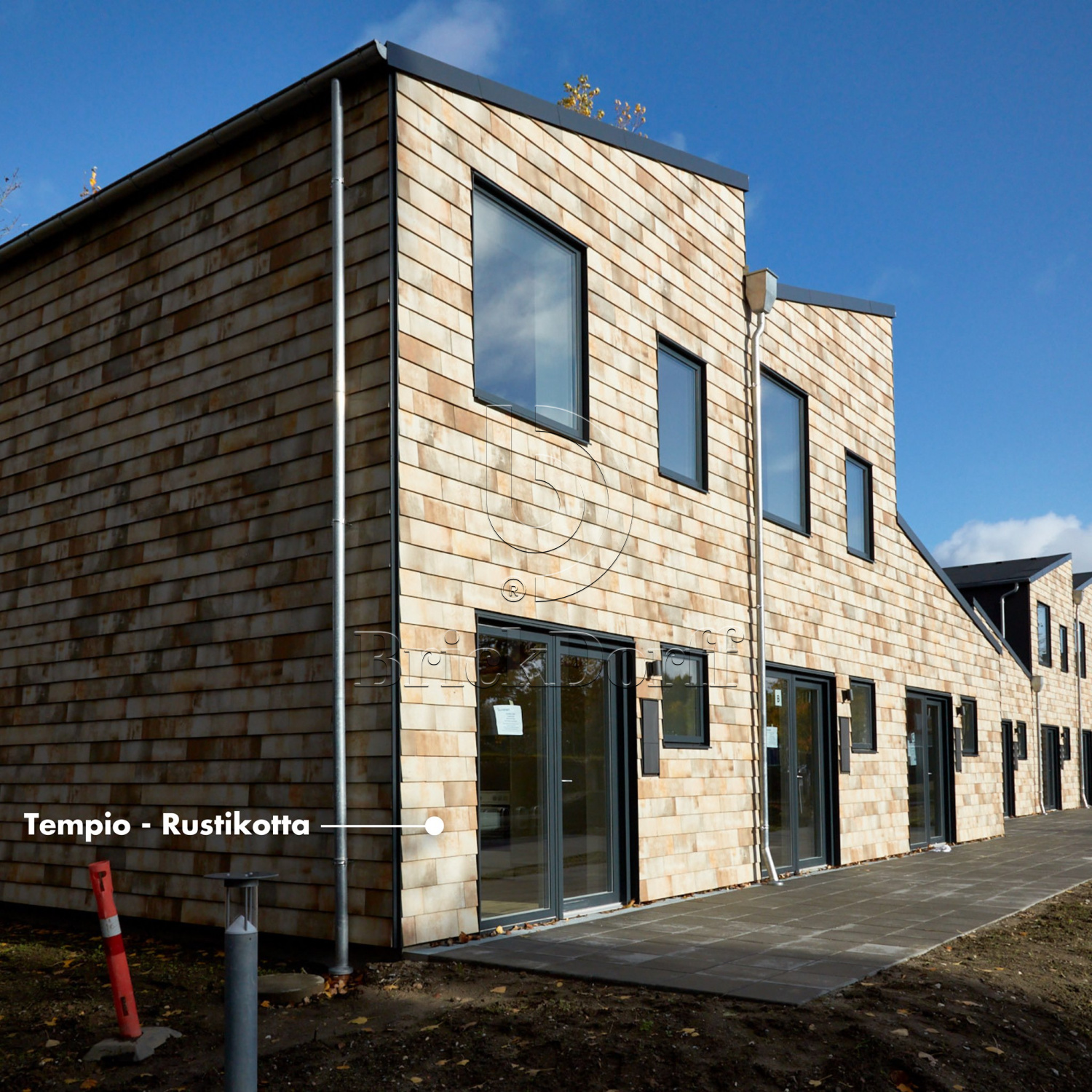 Tempio Rustikotta WHITE SPLATTER 200x400x14мм Дранка керамическая плитка для навесного вент Фасада и Кровли