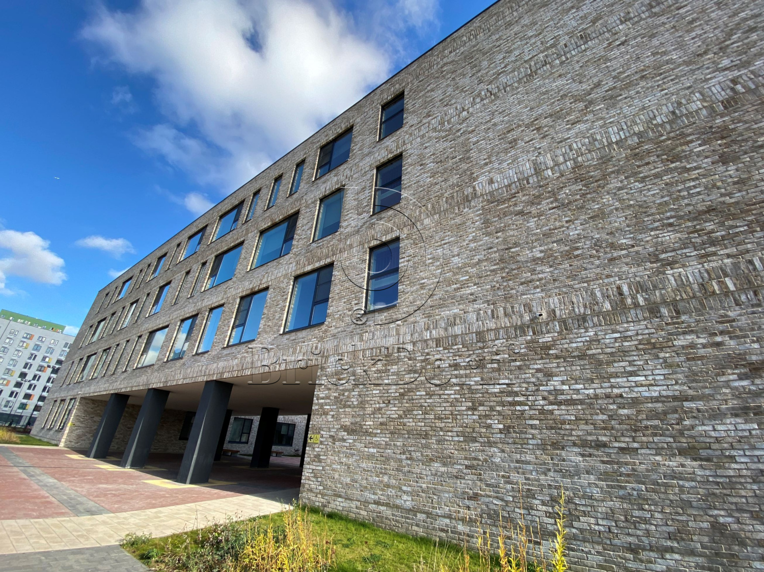 Carthago DF 214х103х66 мм, Кирпич ручной формовки Engels baksteen