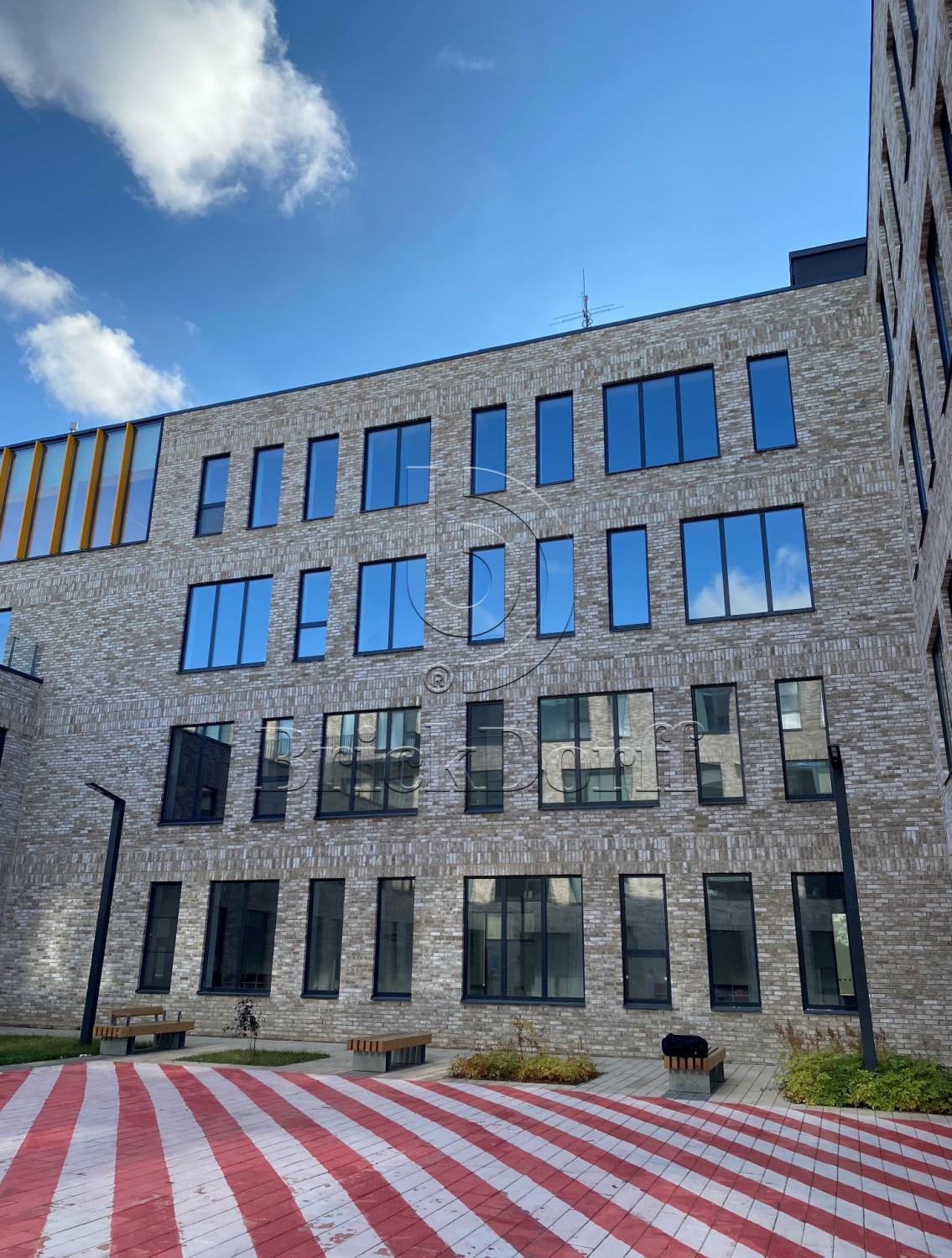 Carthago DF 214х103х66 мм, Кирпич ручной формовки Engels baksteen