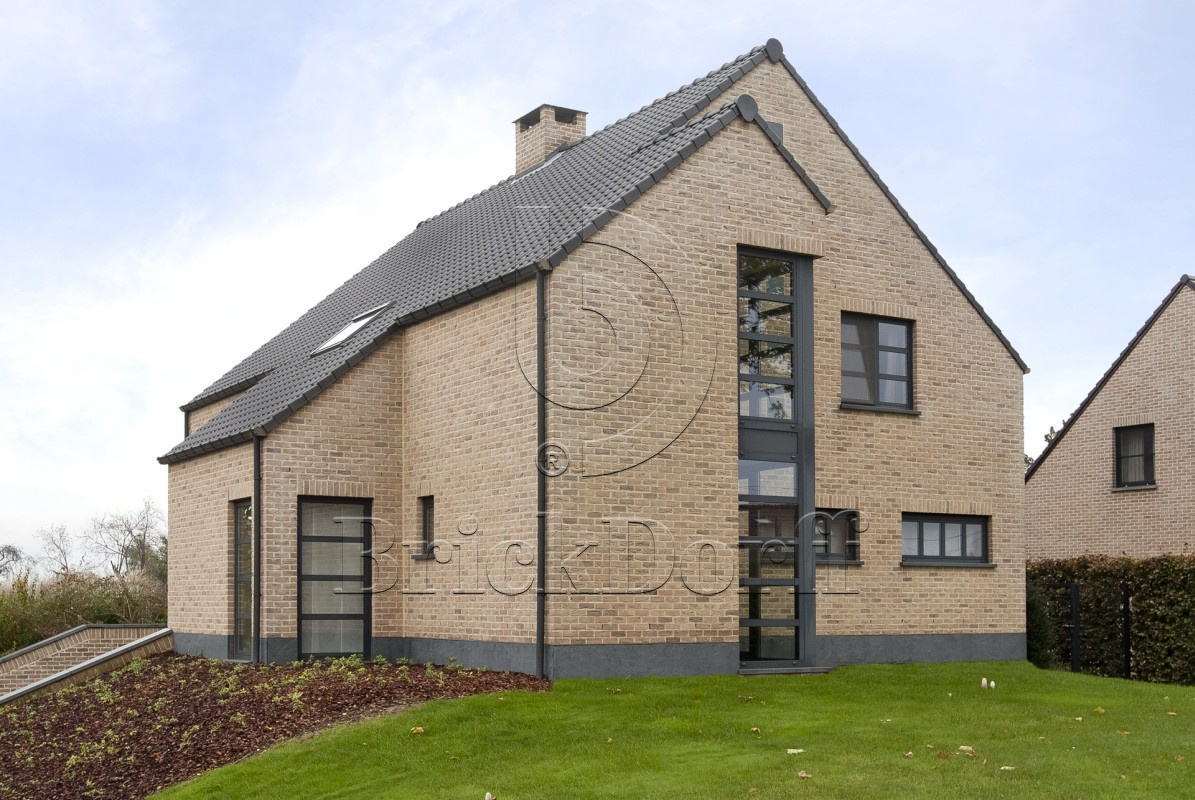 Кирпич ручной формовки Nelissen GOYA WDF 65, 215х50х65 мм