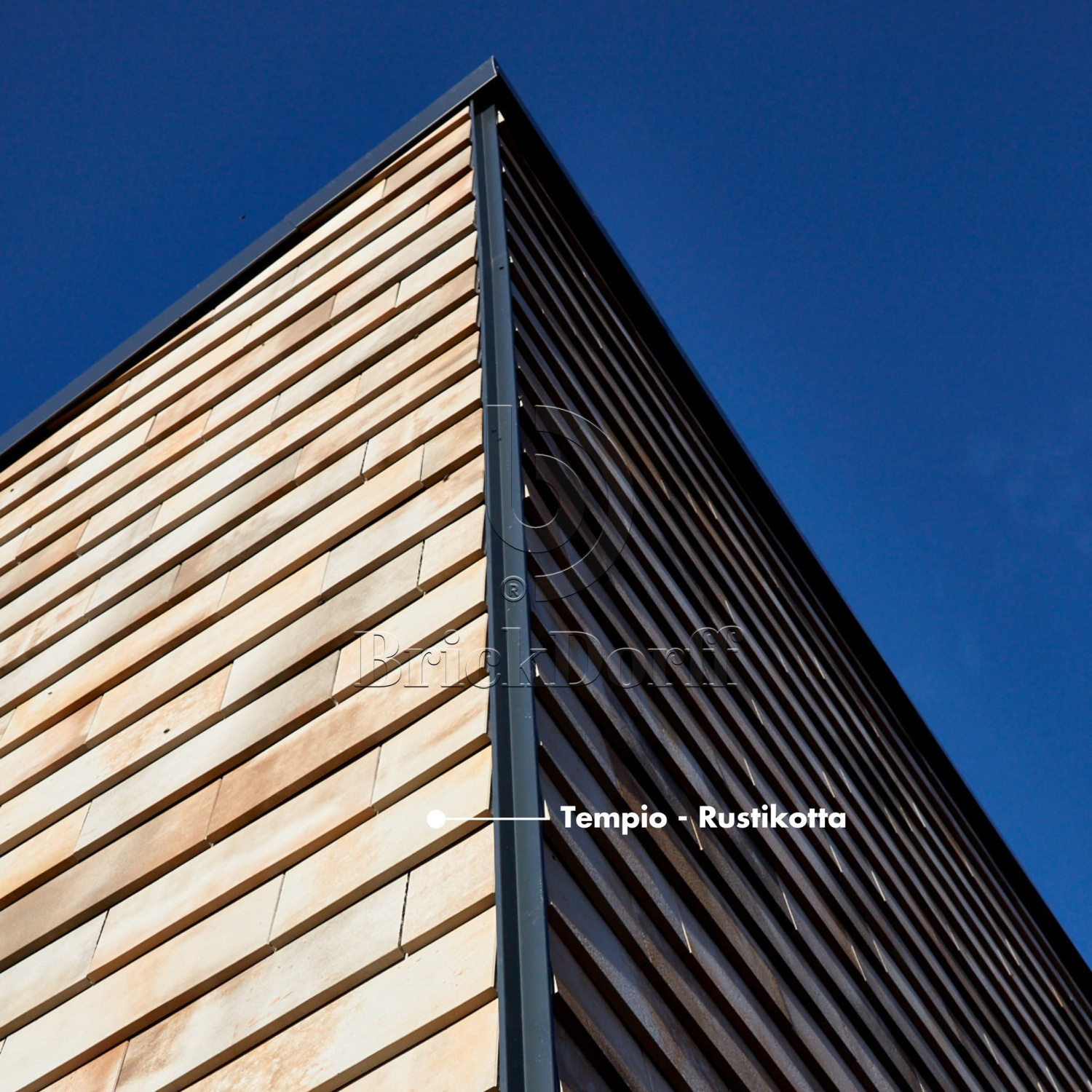 Tempio Rustikotta WHITE SPLATTER 200x400x14мм Дранка керамическая плитка для навесного вент Фасада и Кровли