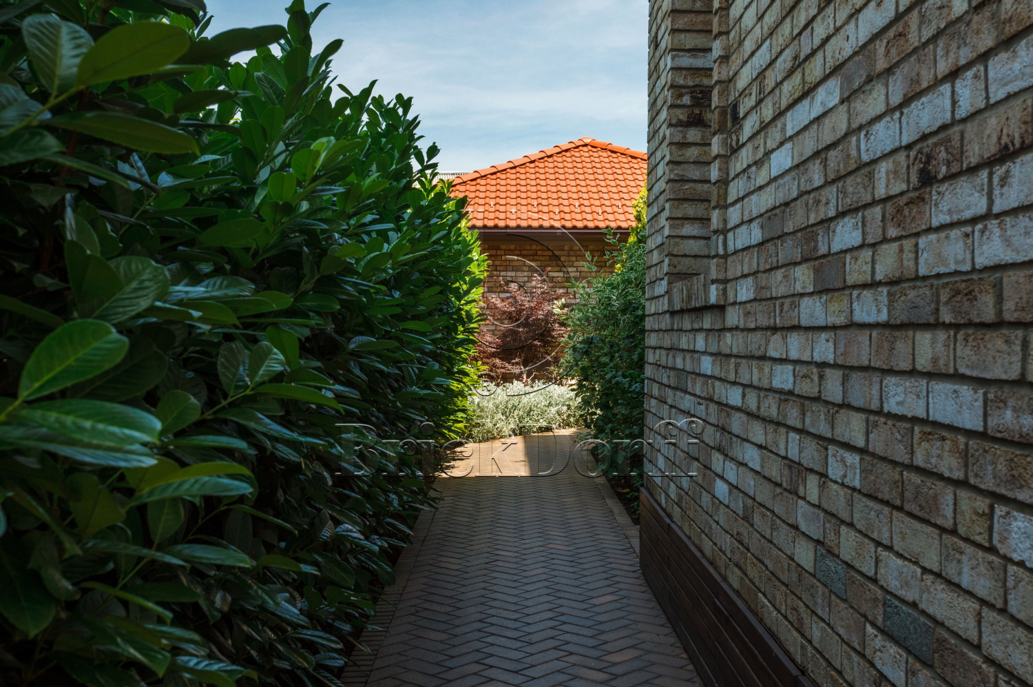 Canyon DF 214х103х66 мм, Кирпич ручной формовки Engels baksteen