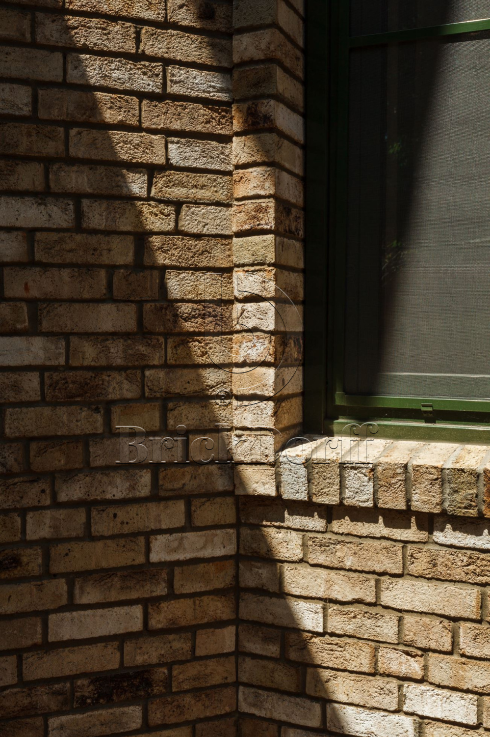 Canyon DF 214х103х66 мм, Кирпич ручной формовки Engels baksteen