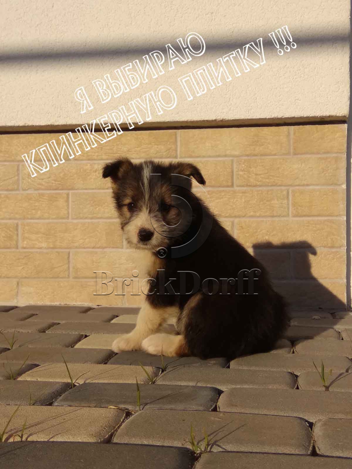 Фасадная и Интерьерная клинкерная плитка под кирпич Cerrad Elewacja Loft brick salt 245*65*8 мм