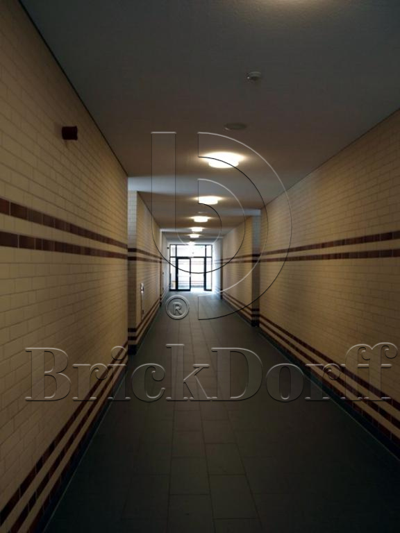 Клинкерная фасадная плитка облицовочная под кирпич Stroeher (Штроер) Keravette Chromatic 140 weiss гладкая NF11, 240*71*11 мм