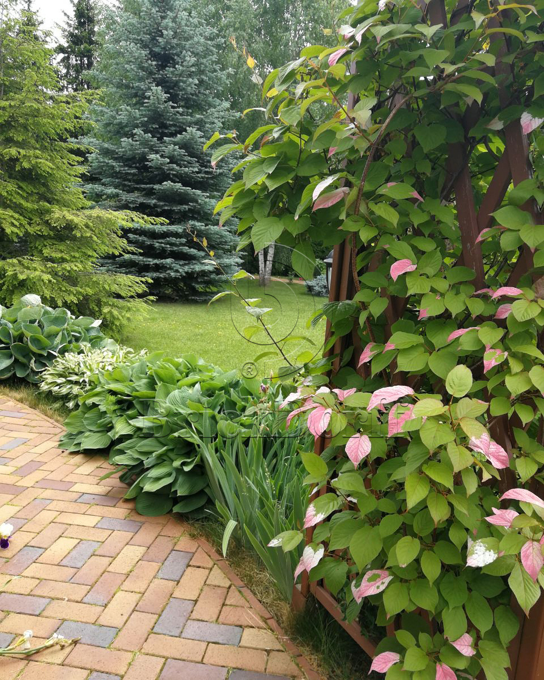 Тротуарная плитка / брусчатка Клинкерная ABC Herbstlaub-geflammt (Хербстлауб-гефламмт), 200*100*40 мм