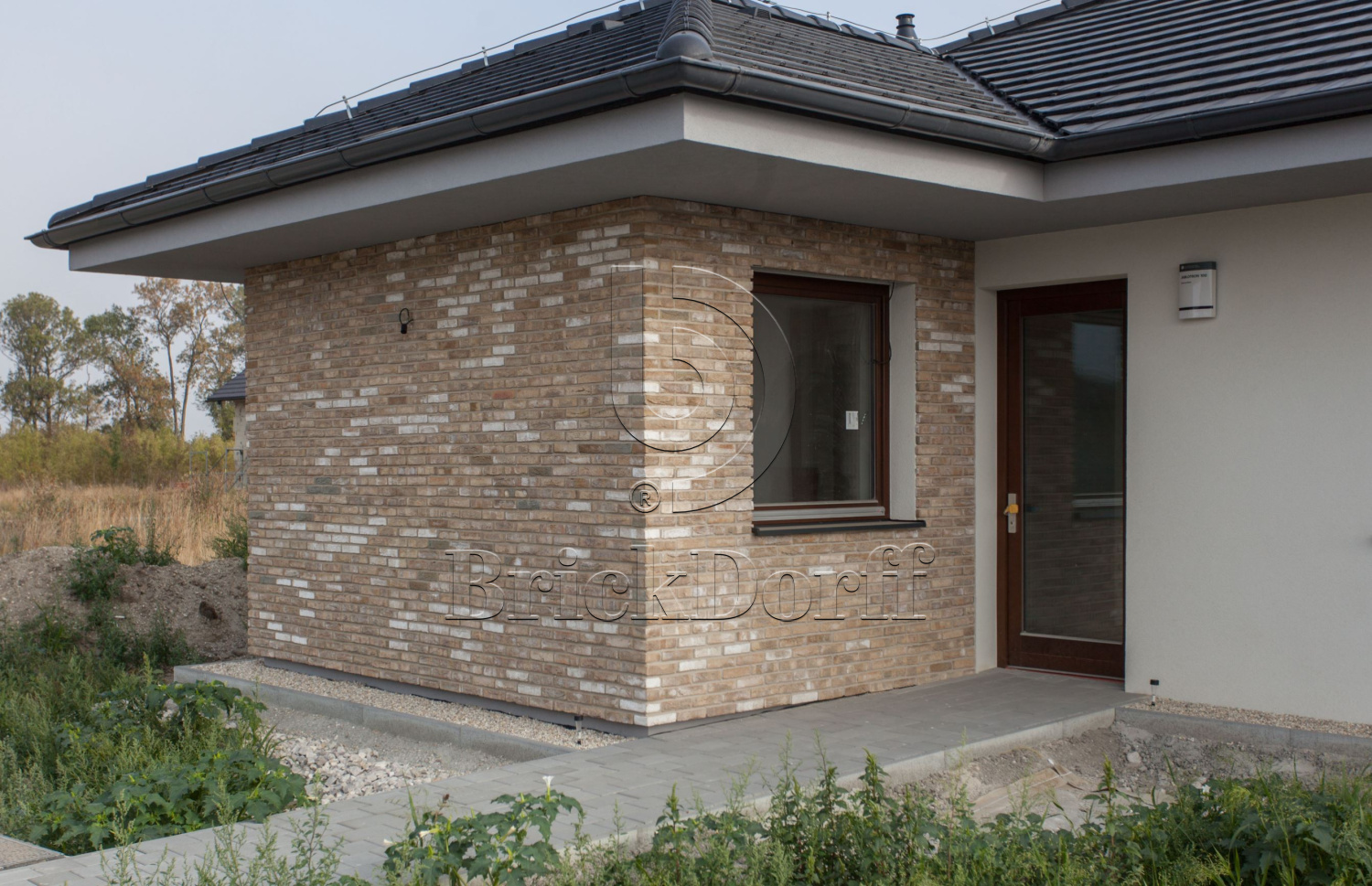 Mystique DF 214x103x66 мм, Кирпич ручной формовки Engels baksteen