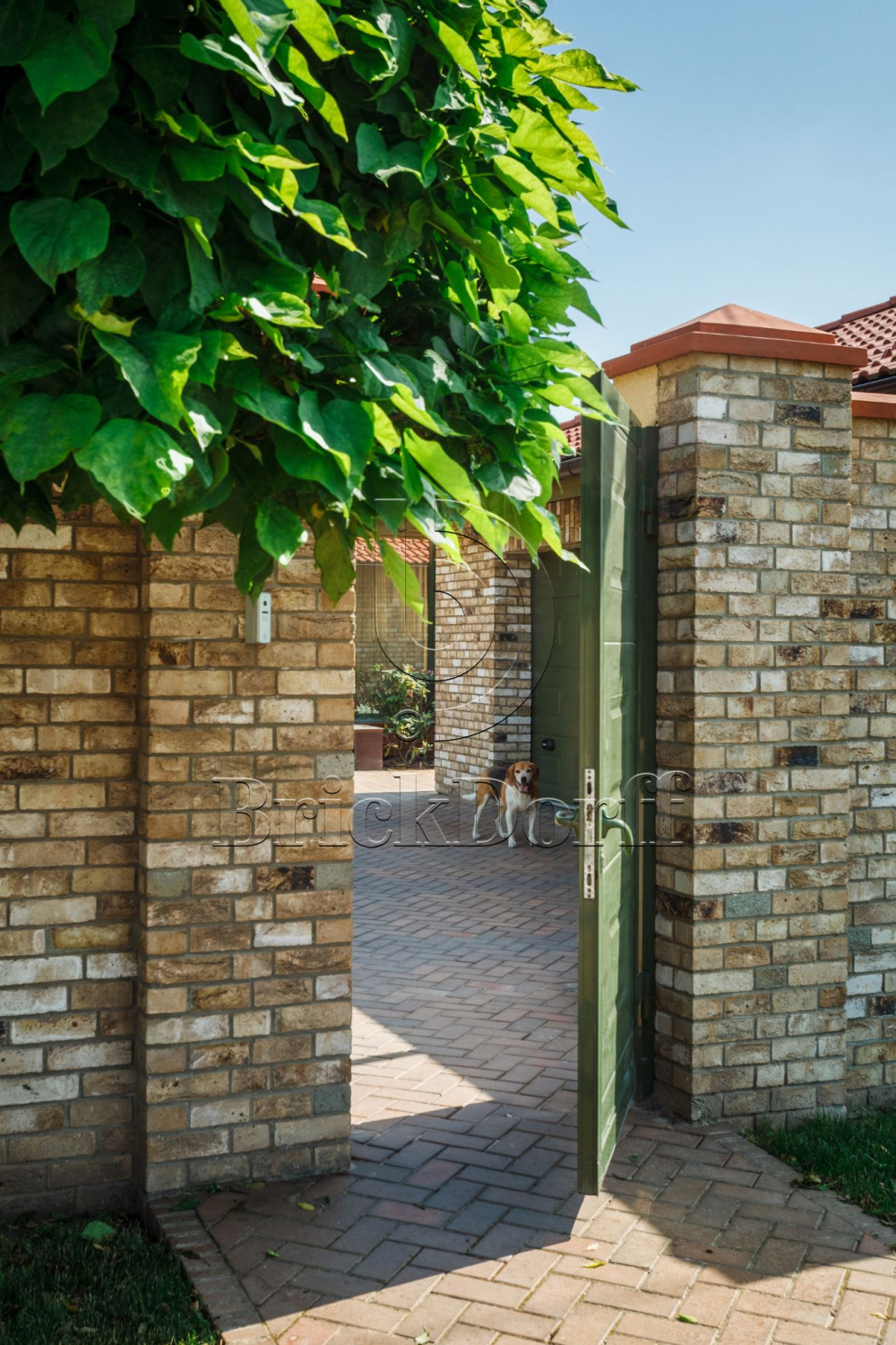 Canyon DF 214х103х66 мм, Кирпич ручной формовки Engels baksteen