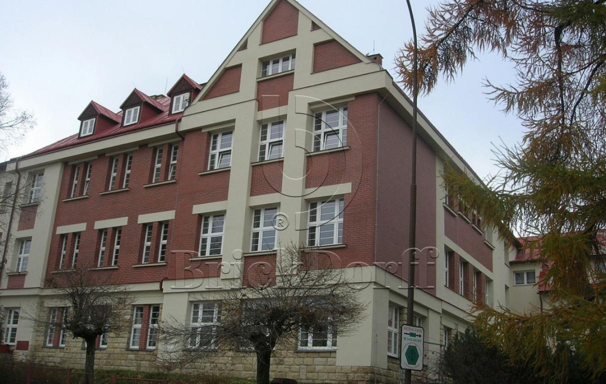 Клинкерная фасадная плитка облицовочная под кирпич Stroeher (Штроер) Keravette Chromatic 215 patrizienrot гладкая DF8, 240*52*8 мм