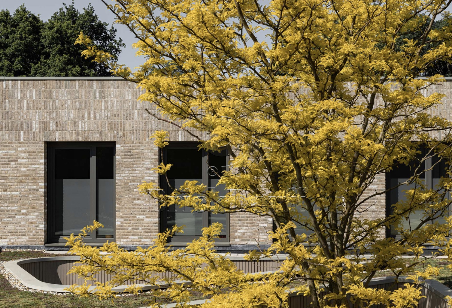 Carthago DF 214х103х66 мм, Кирпич ручной формовки Engels baksteen