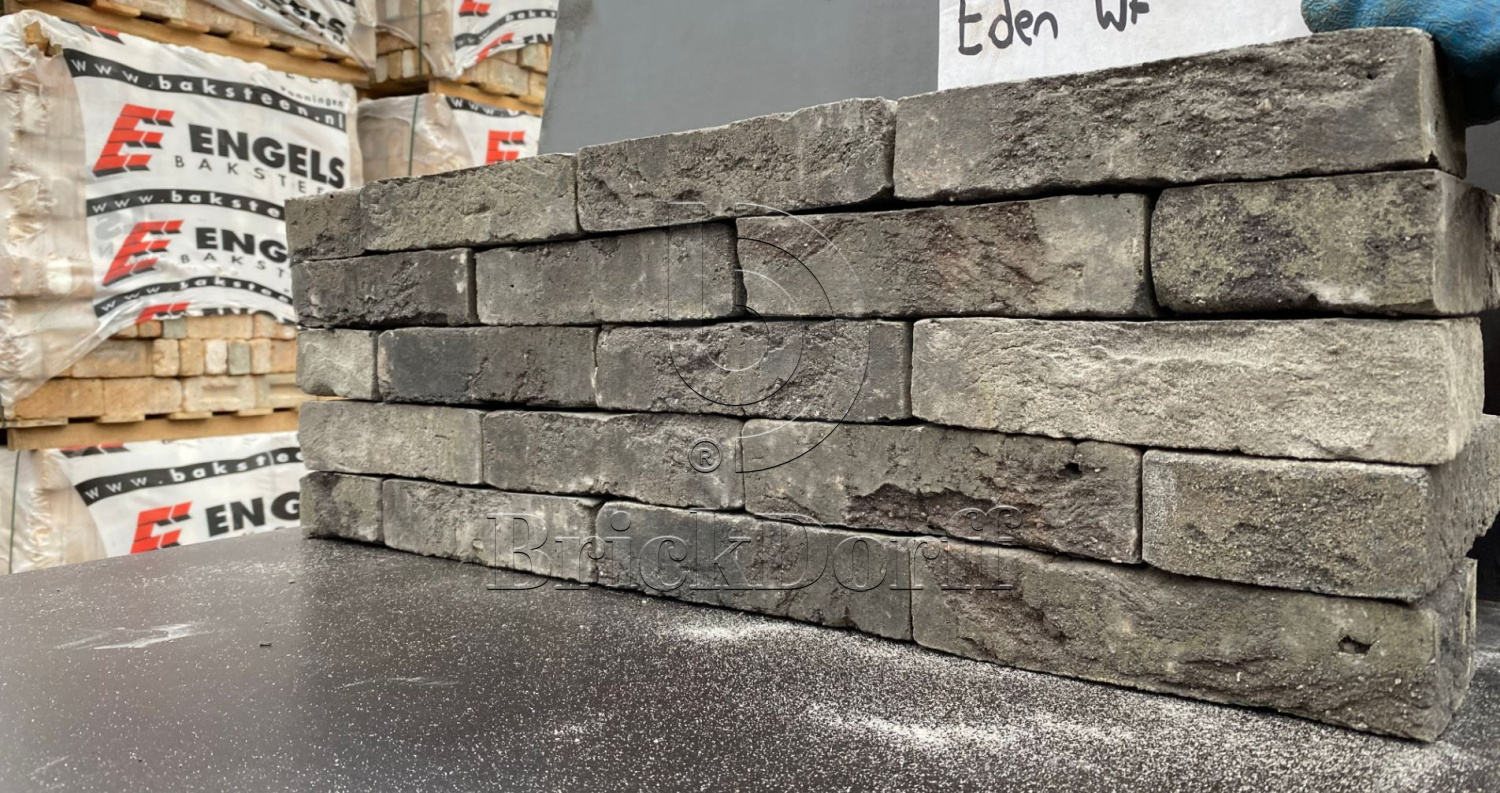 EDEN (SALINA) WF 208х99х50 мм, Кирпич ручной формовки Engels baksteen