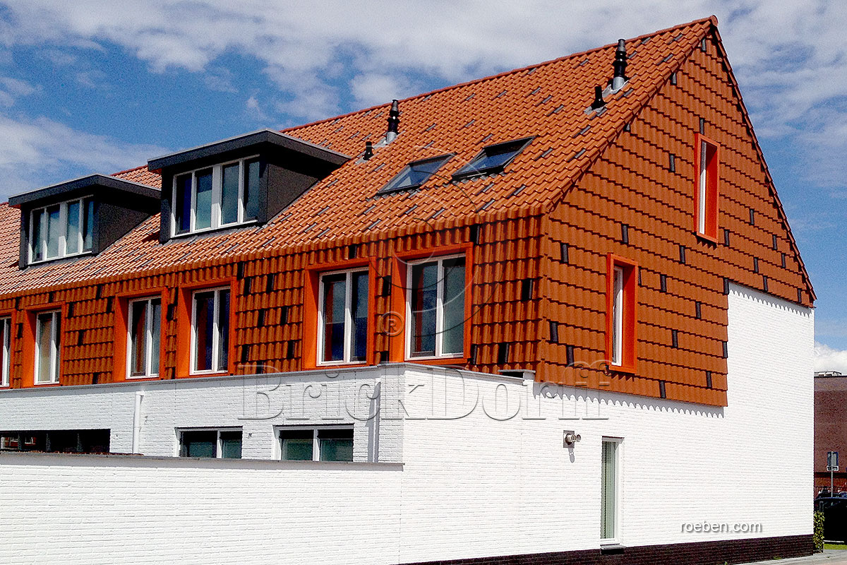 Керамическая черепица рядовая Roben Limburg антрацит ангоб