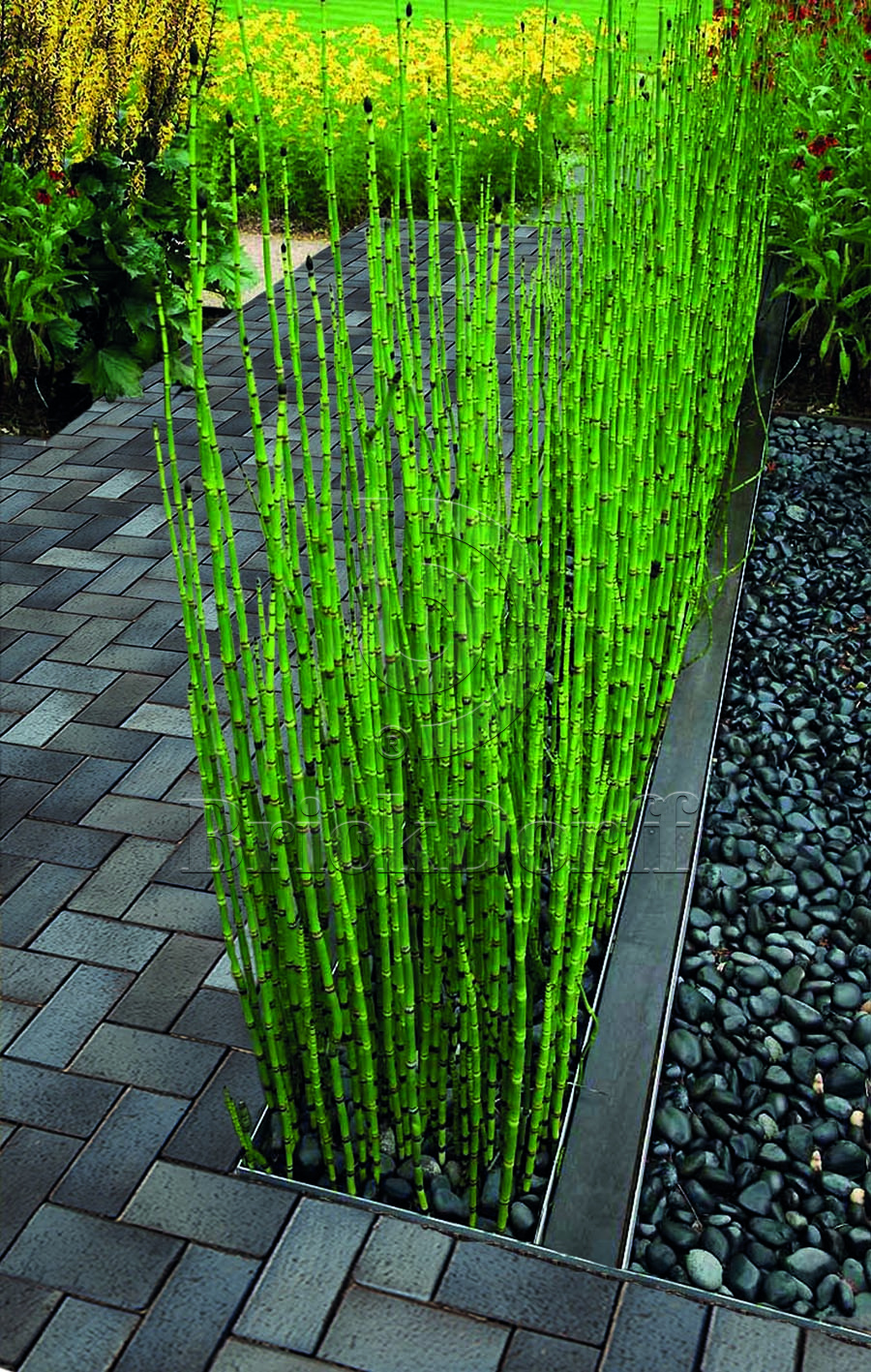 Тротуарная плитка / брусчатка Клинкерная ABC Lubeck (Лубек), 200*100*40 мм