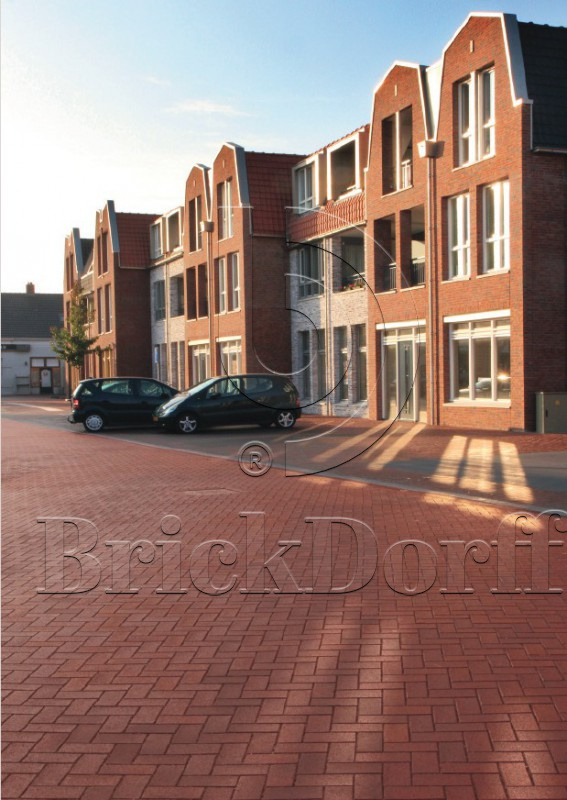 Тротуарная плитка / брусчатка Клинкерная ABC Altfarben-bunt-geflammt (Алтфарбен-бунт-гефламмт), 200*100*52 мм