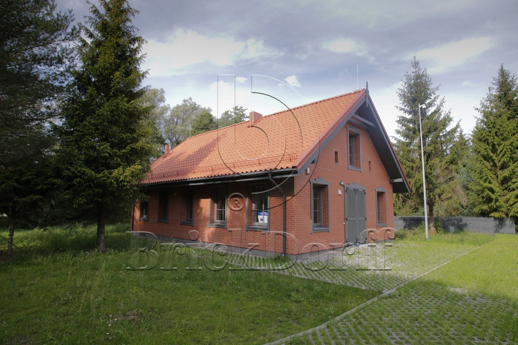 Кирпич керамический полнотелый Печной Lode SKARBAIS JANKA гладкий, 250*120*65 мм