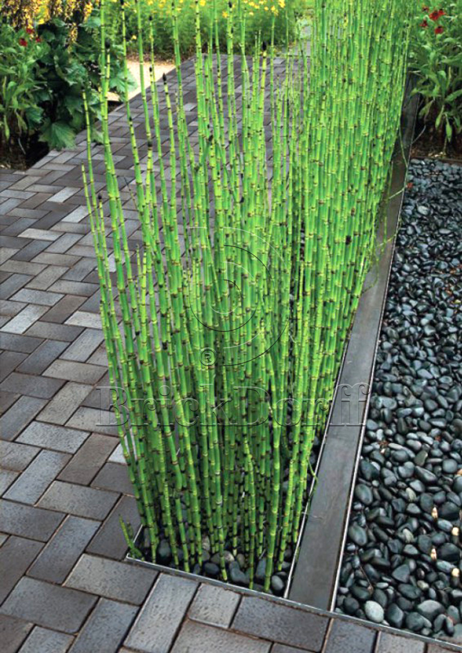 Тротуарная плитка / брусчатка Клинкерная ABC Potsdam (Потсдам), 200*100*45 мм