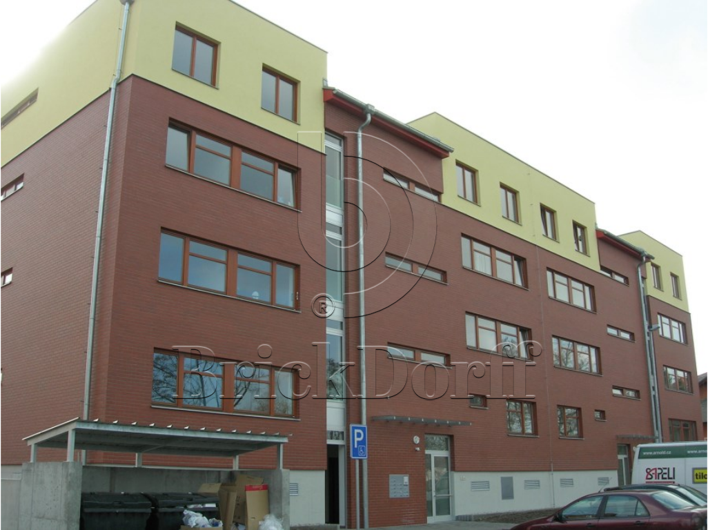 Клинкерная фасадная плитка облицовочная под кирпич Stroeher (Штроер) Keravette Chromatic 215 patrizienrot гладкая DF8, 240*52*8 мм