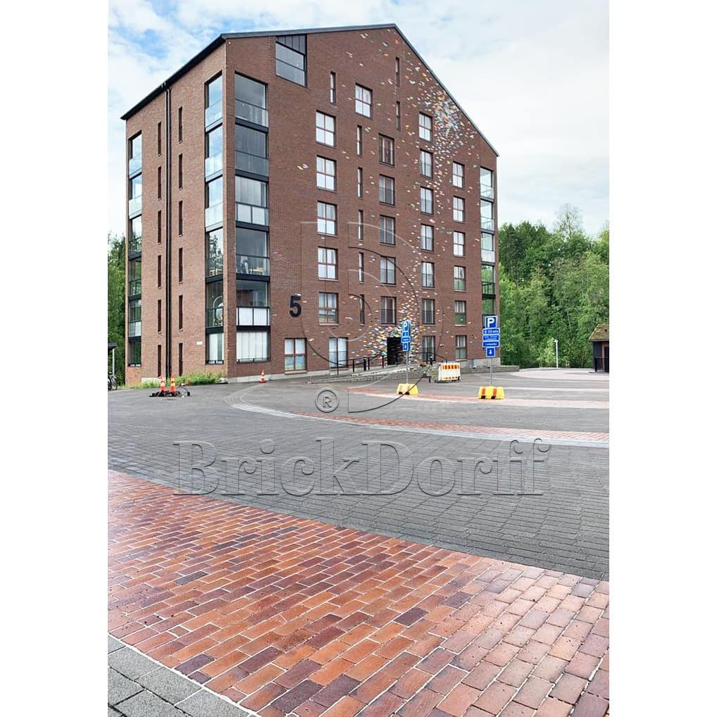 Тротуарная плитка клинкерная ABC Herbstlaub-geflammt (Хербстлауб-гефламмт), 200*100*20 мм