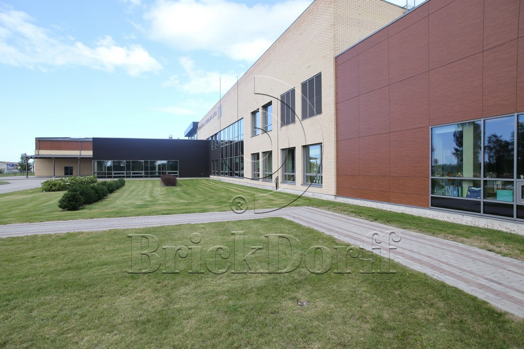 Кирпич клинкерный облицовочный желтый, Lode SARMITE гладкий, 250*120*65 мм