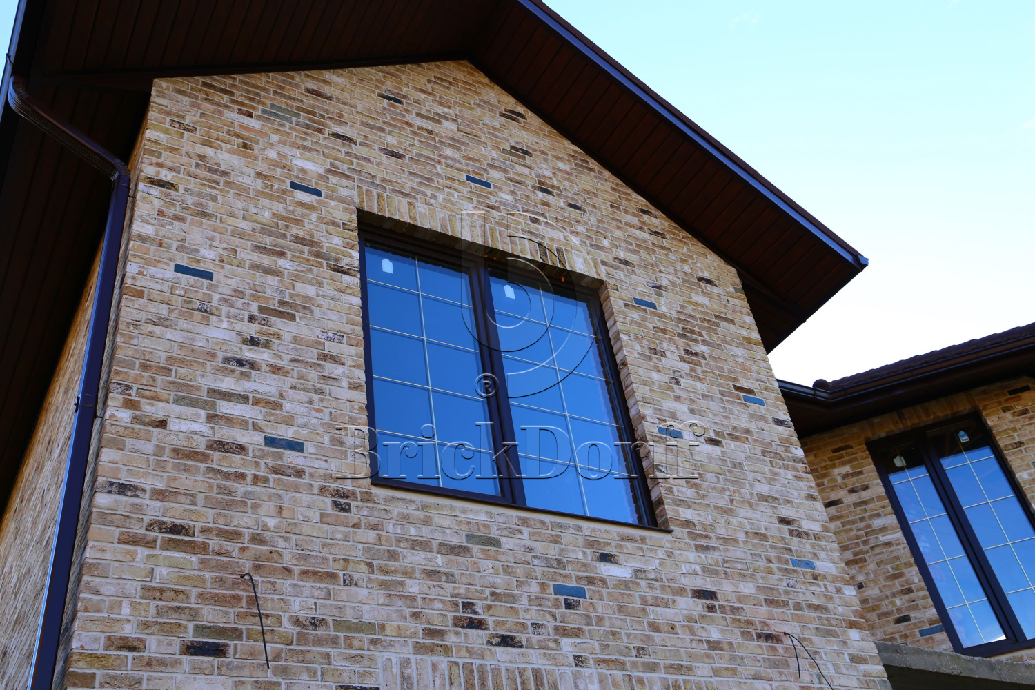 Canyon DF 214х103х66 мм, Кирпич ручной формовки Engels baksteen